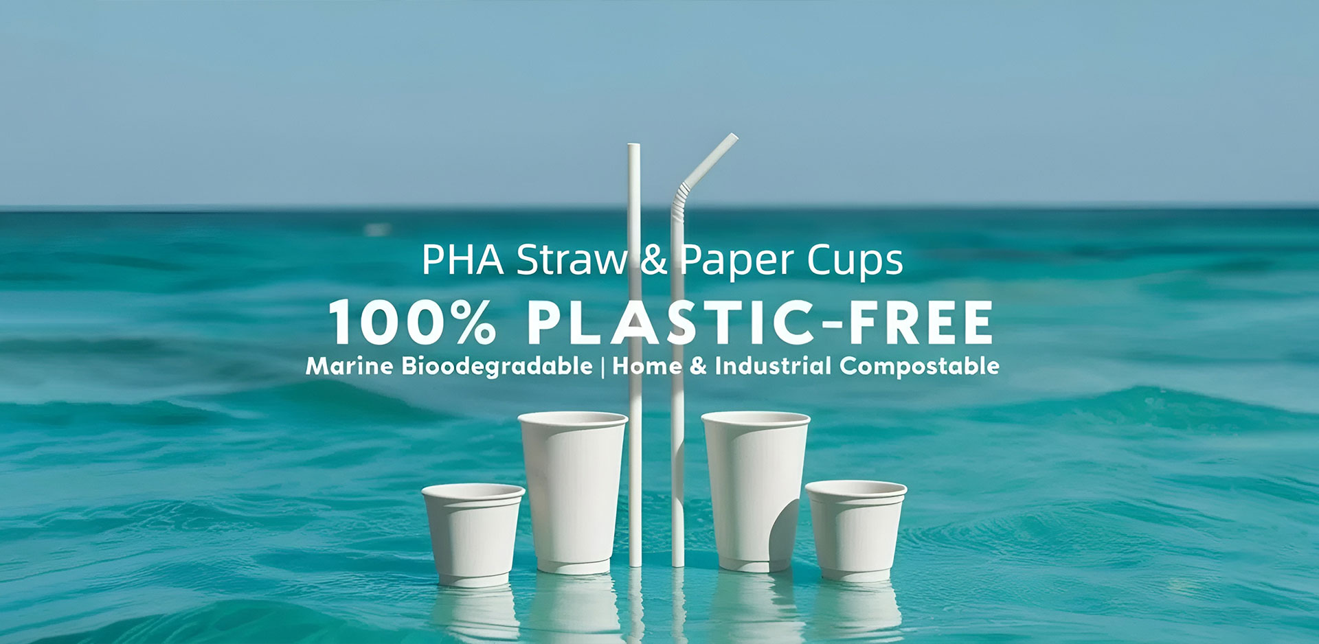 Dostawca China Paper Cup