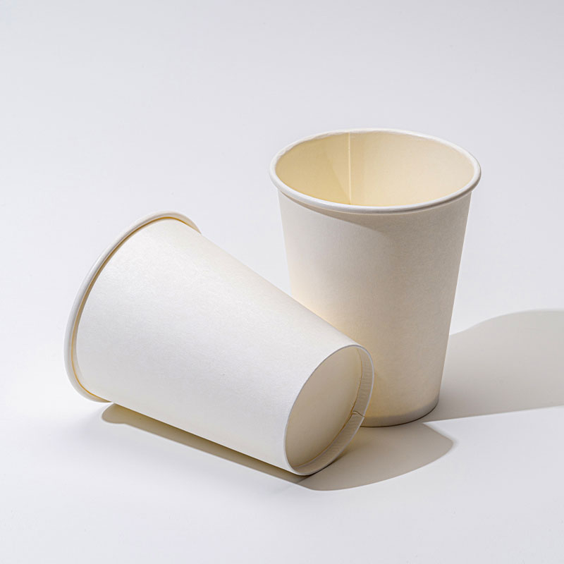 Czy PHA Paper Cup jest naprawdę przyjazny dla środowiska?