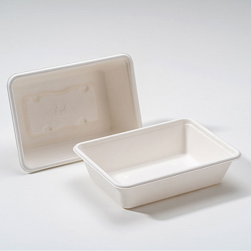 Dlaczego kwadratowe pudełko z Bagasse to przyszłość zrównoważonych opakowań do żywności?